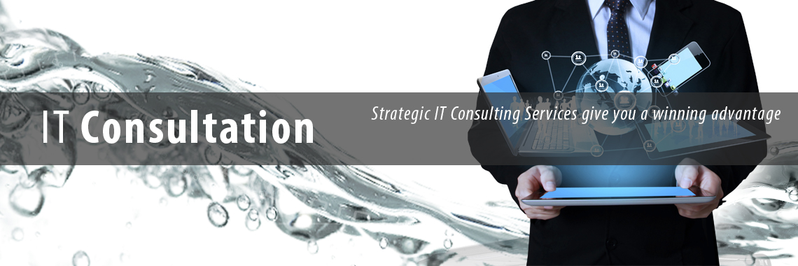 IT Consulting Services